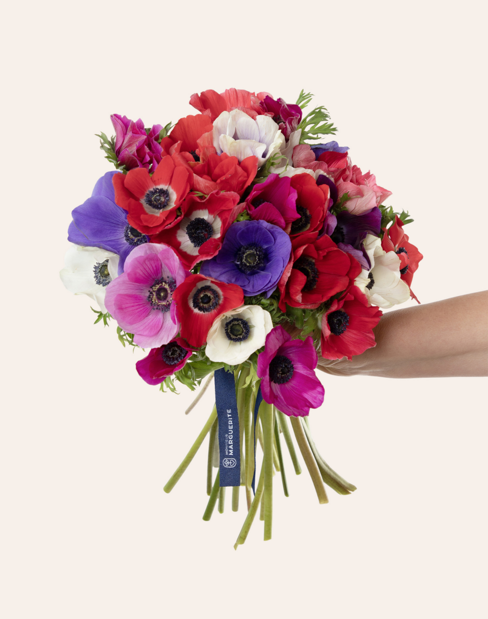 Botte surprise d'Anémones