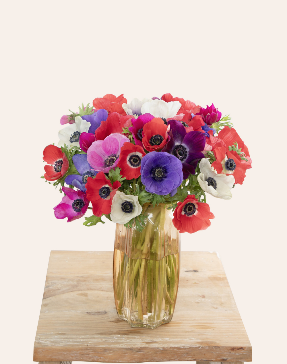 Botte surprise d'Anémones