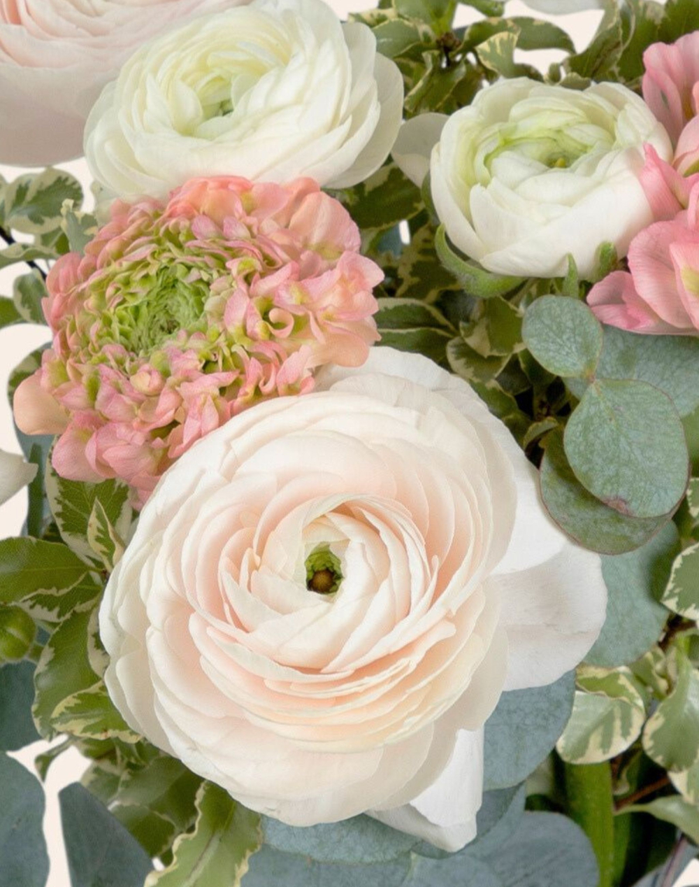 Bouquet de Renoncules - Rose et blanc