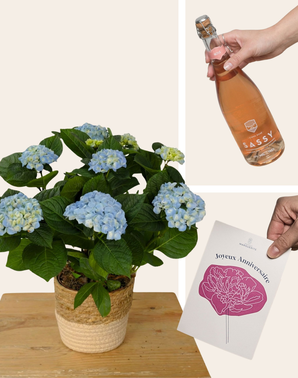 Pack Anniversaire - Hortensia bleu et cidre