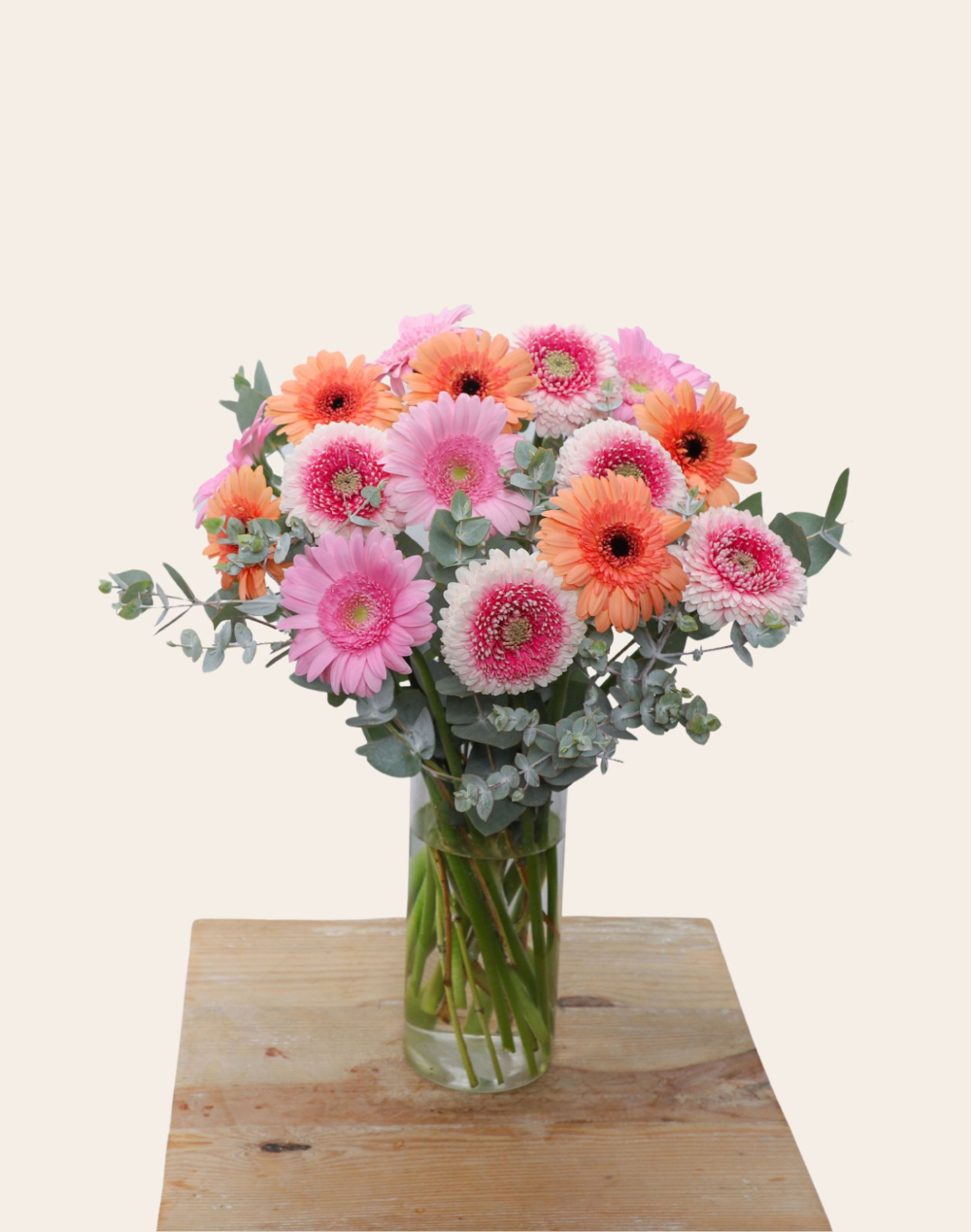 Duo de Pâques - Bouquet de Germinis et son Oeuf au chocolat