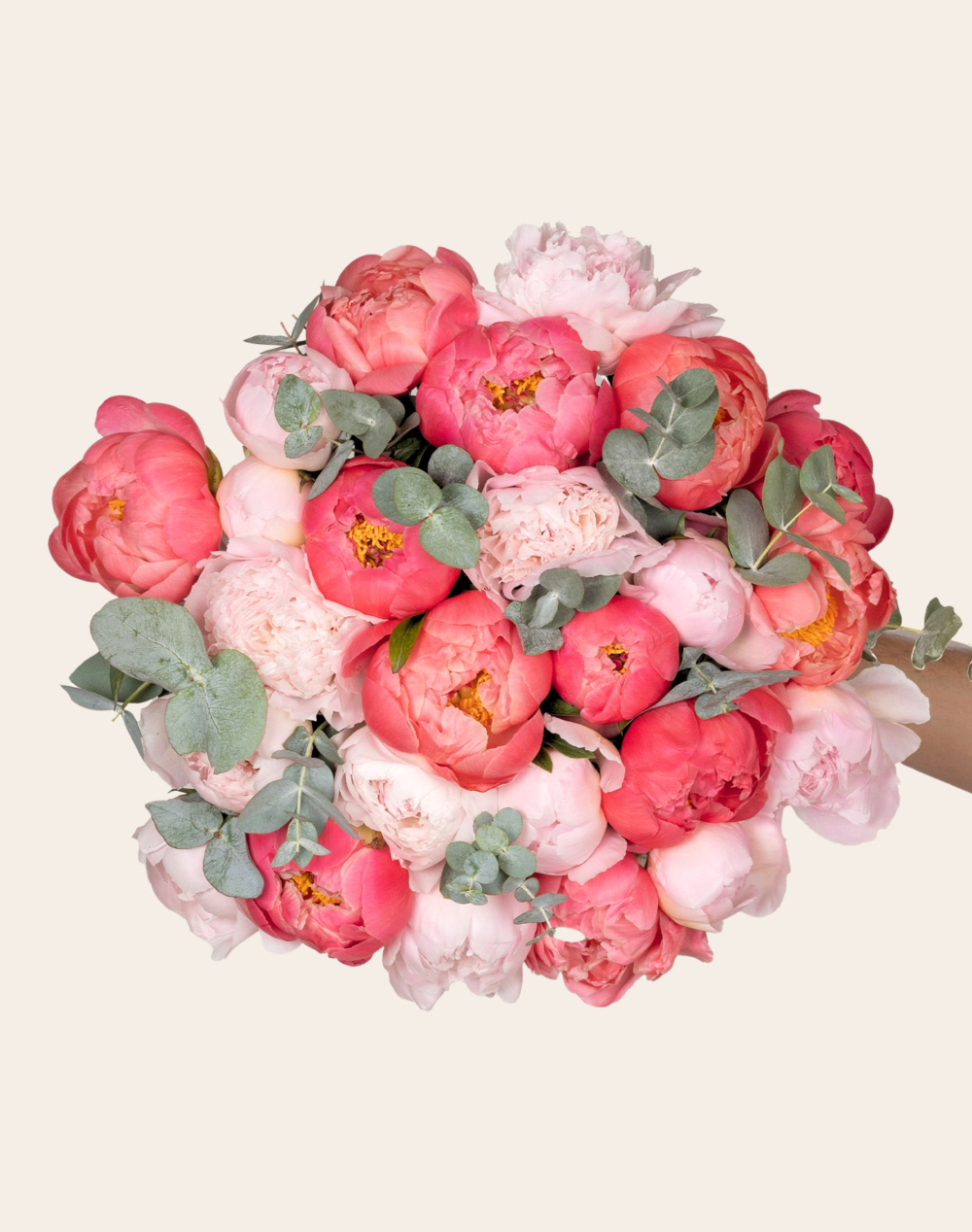 Bouquet d'exception de 25 Pivoines