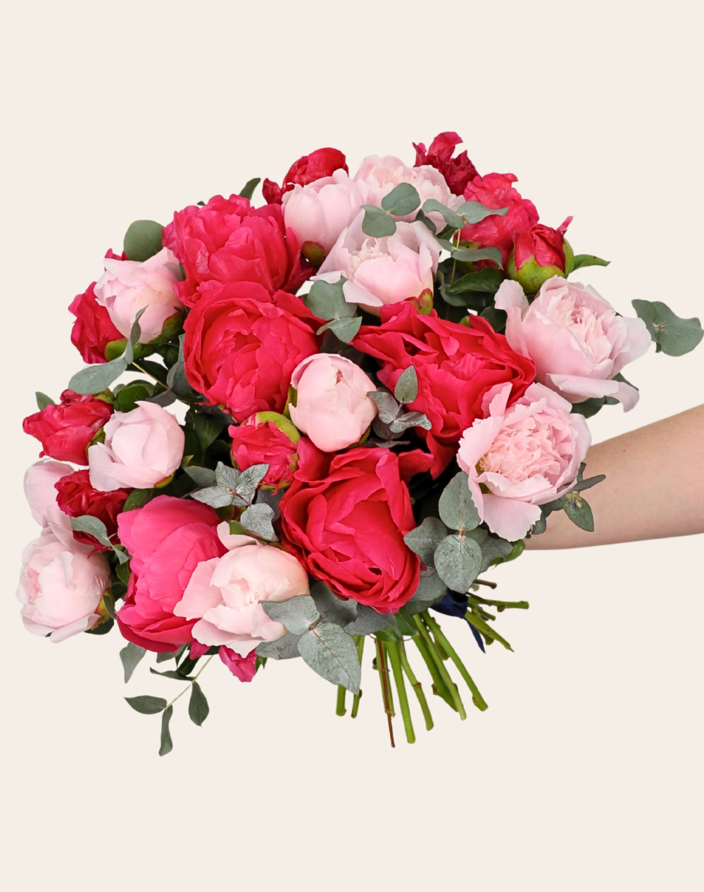 Bouquet d'exception de 25 Pivoines