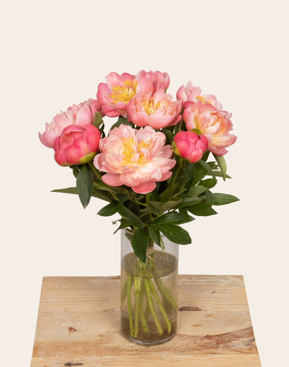 Duo de Printemps - Pivoines et Muguet