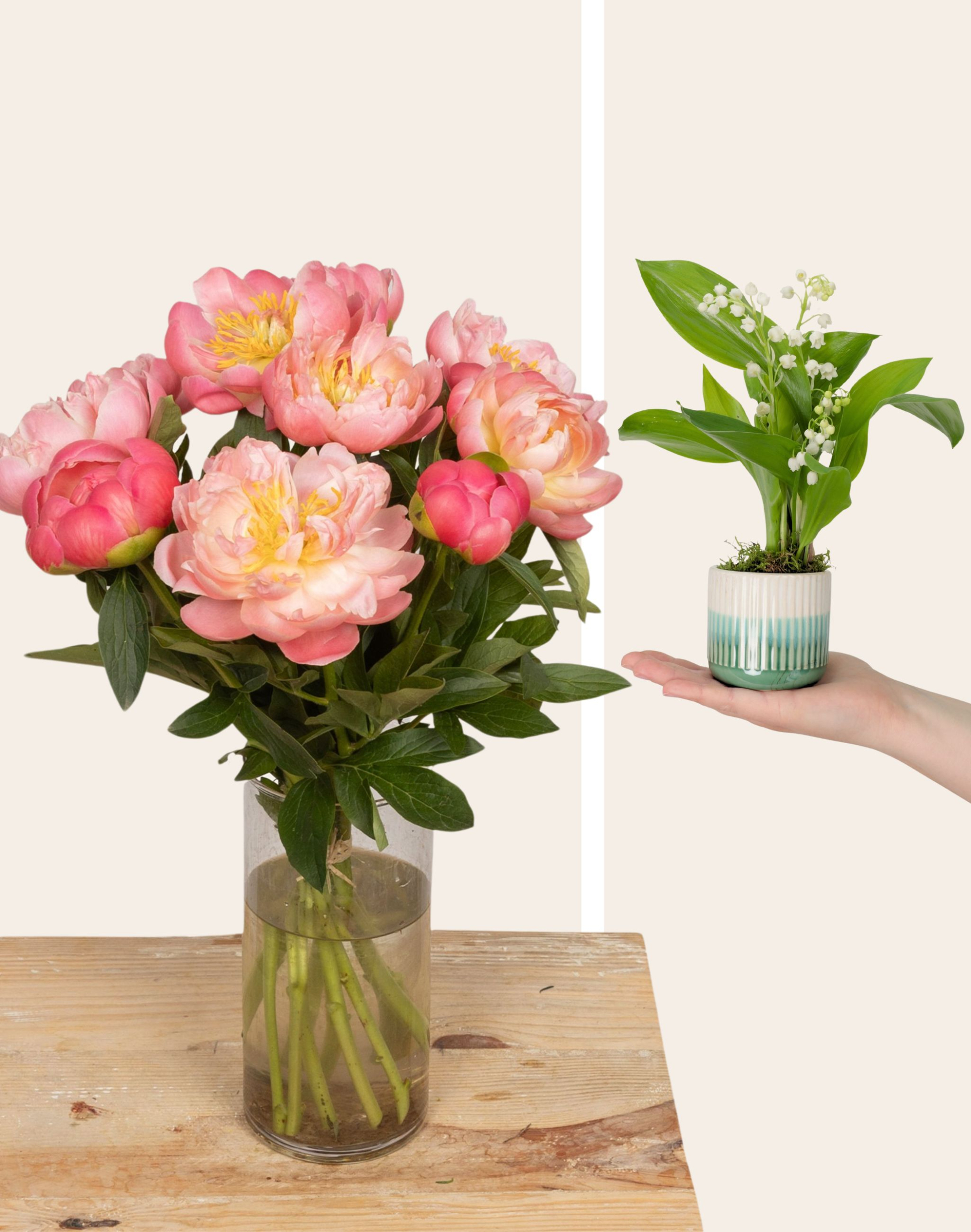 Duo de Printemps - Pivoines et Muguet