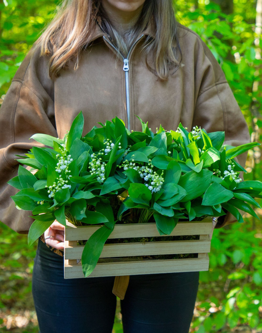 Trio de Muguet des bois - 30 brins