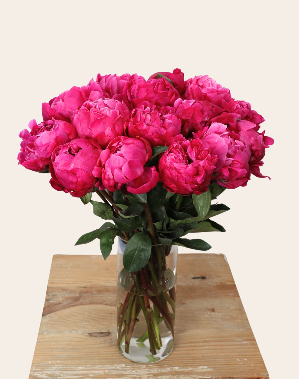 Botte de Pivoines Roses