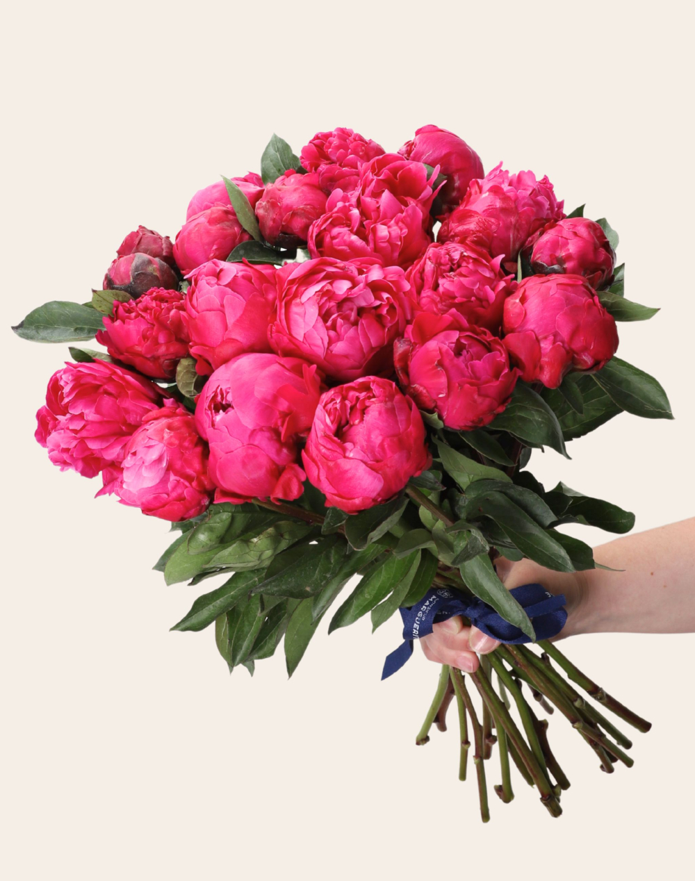 Botte de Pivoines Roses