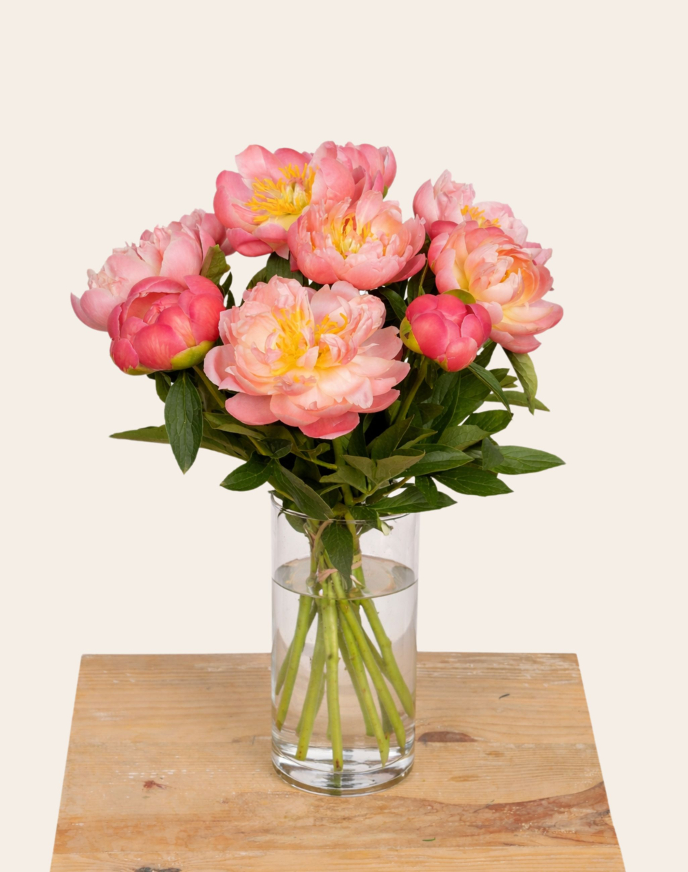 Botte de Pivoines corail