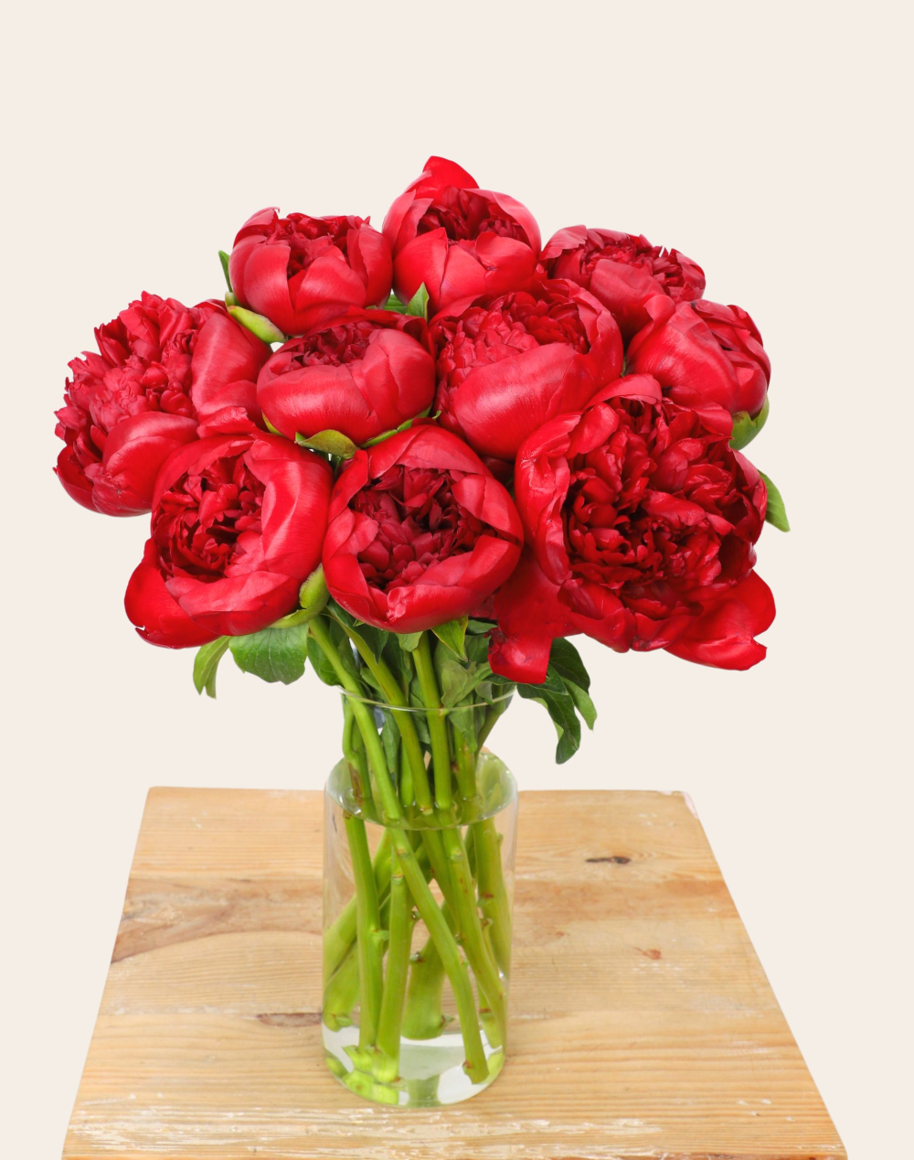 Botte de Pivoines "Red Charm"