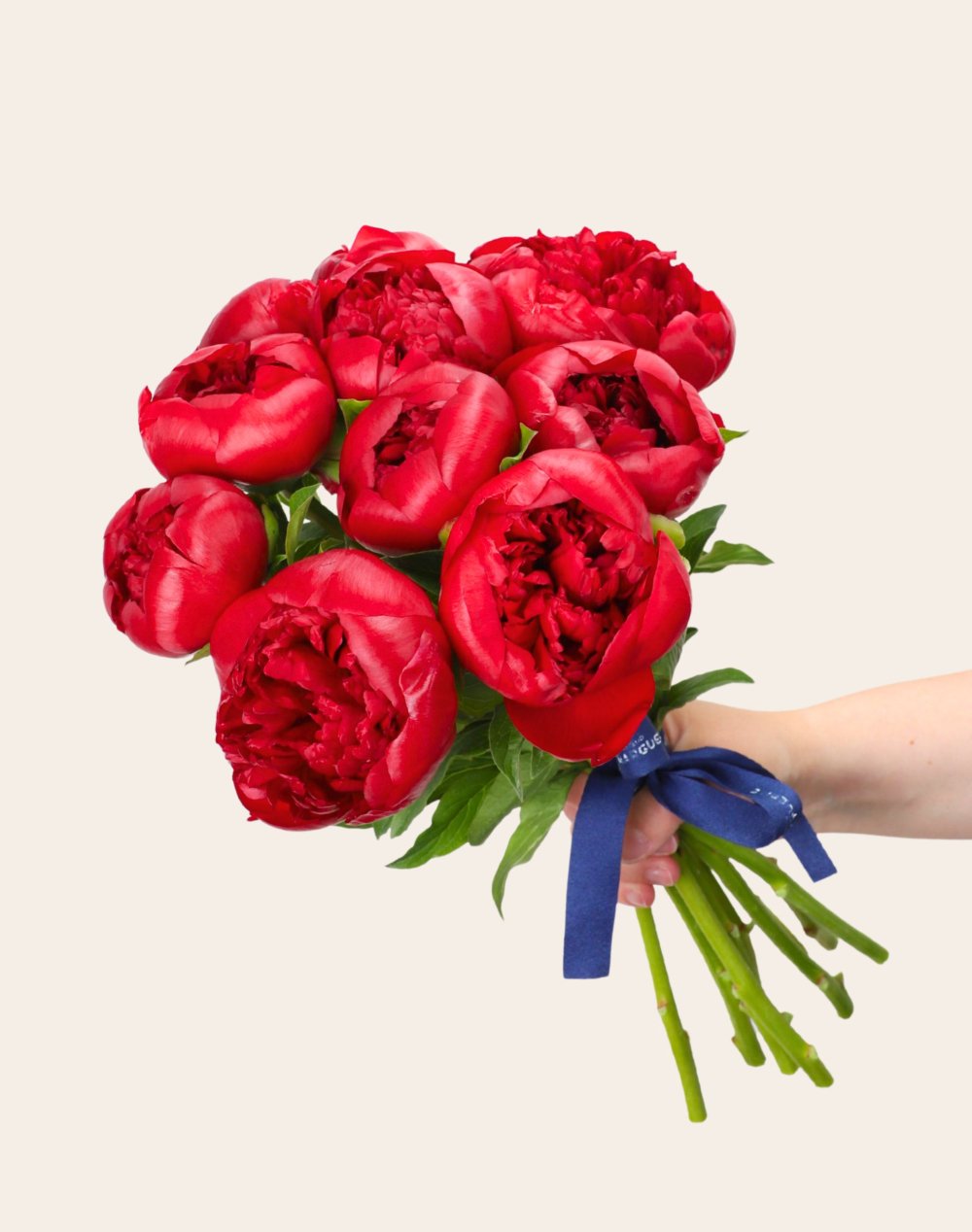 Botte de Pivoines "Red Charm"