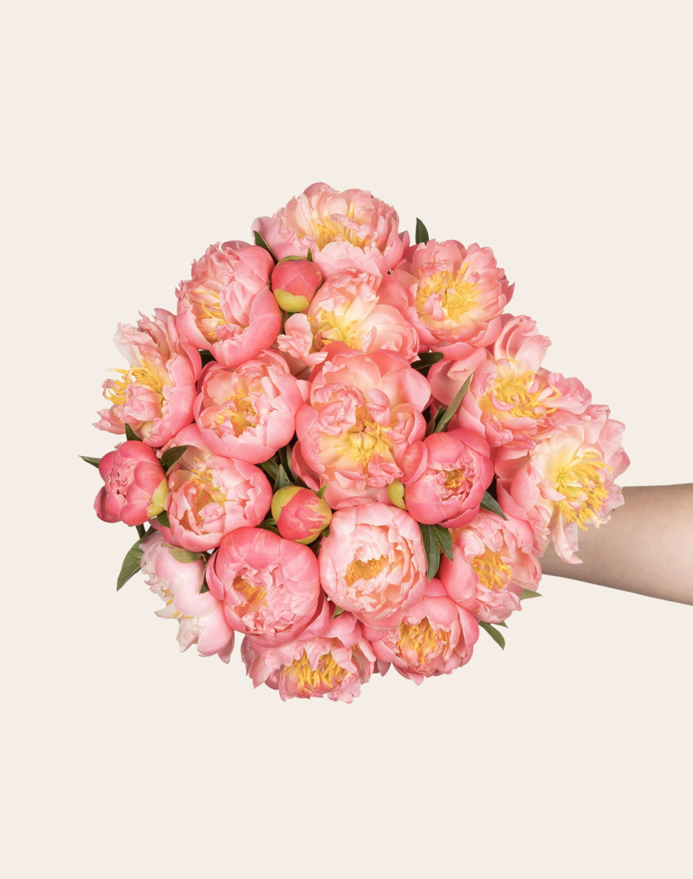 Botte de Pivoines Roses