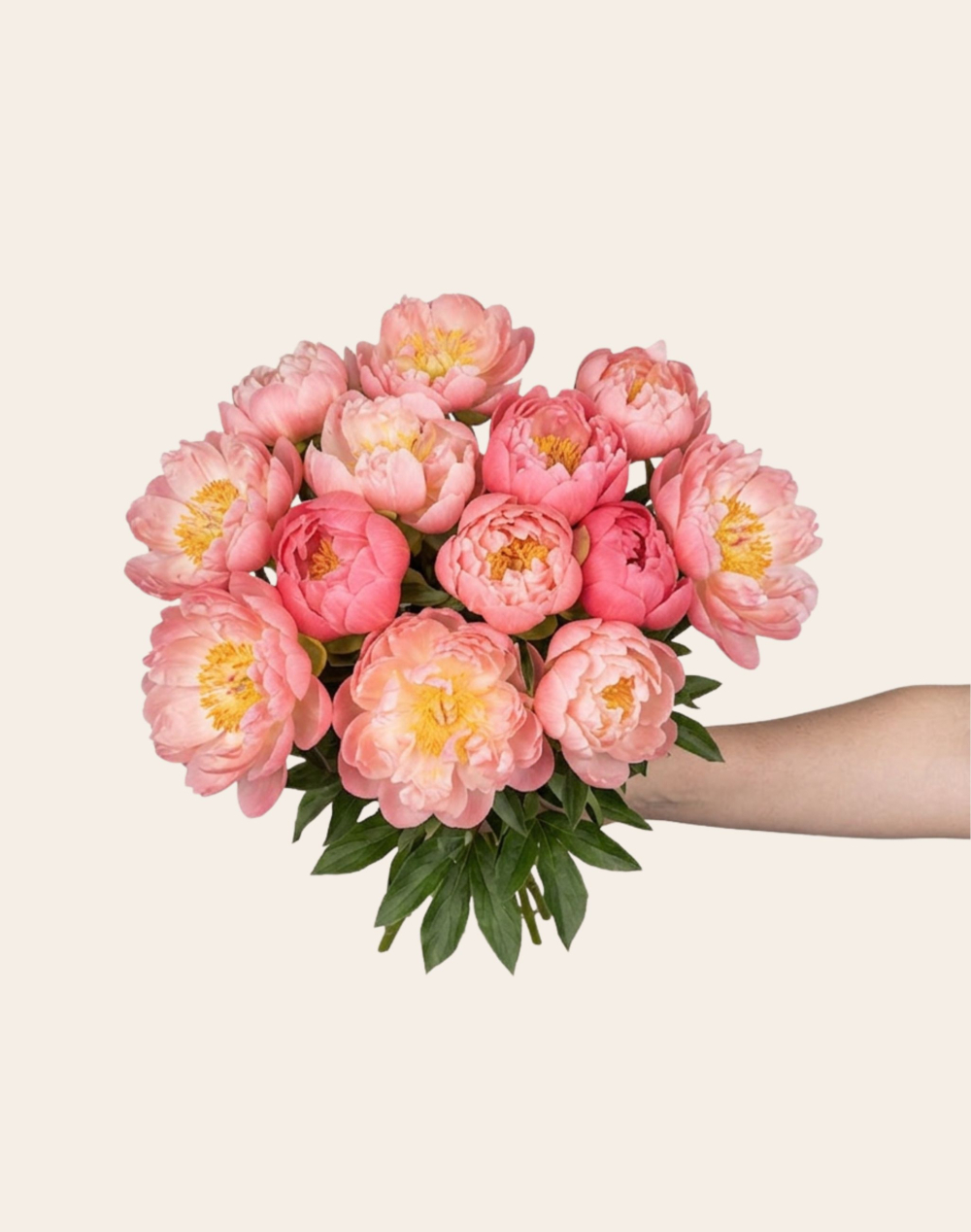 Botte de Pivoines Roses