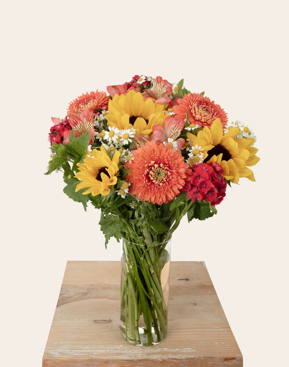 Pack Naissance - Bouquet de saison coloré