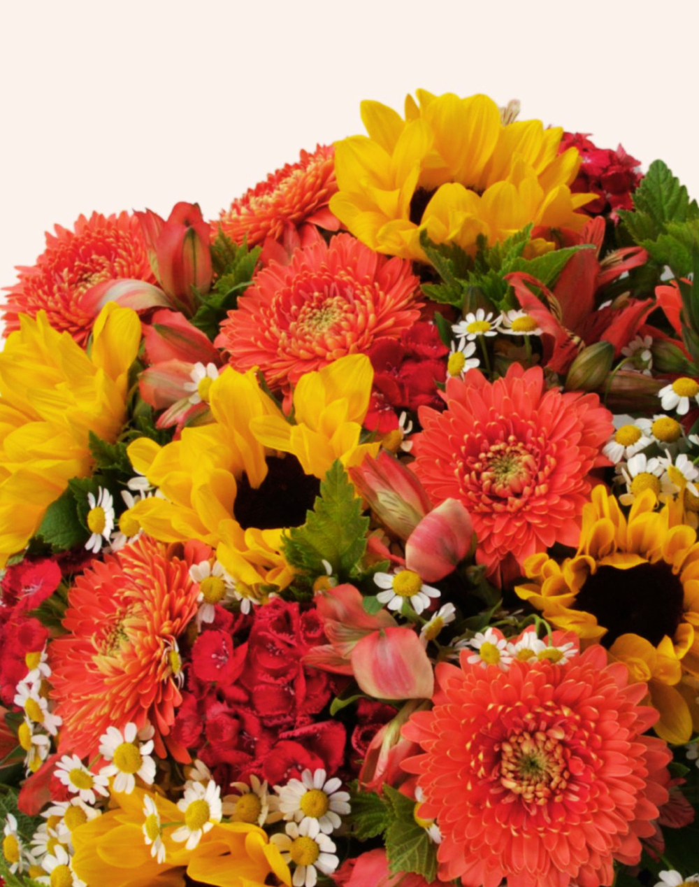 Pack Naissance - Bouquet de saison coloré