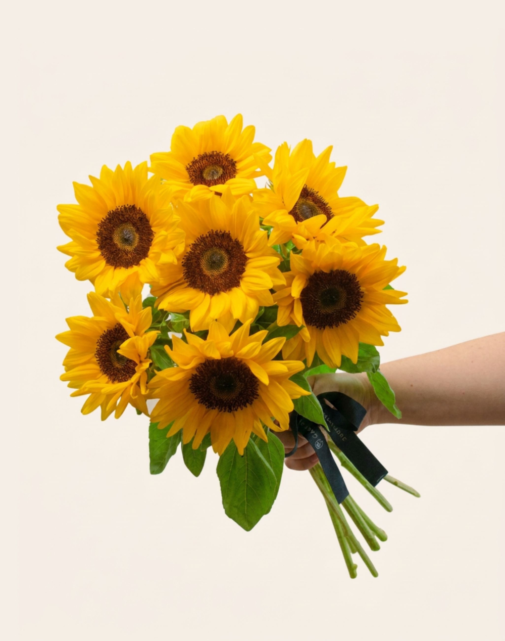 Botte de 7 Tournesols