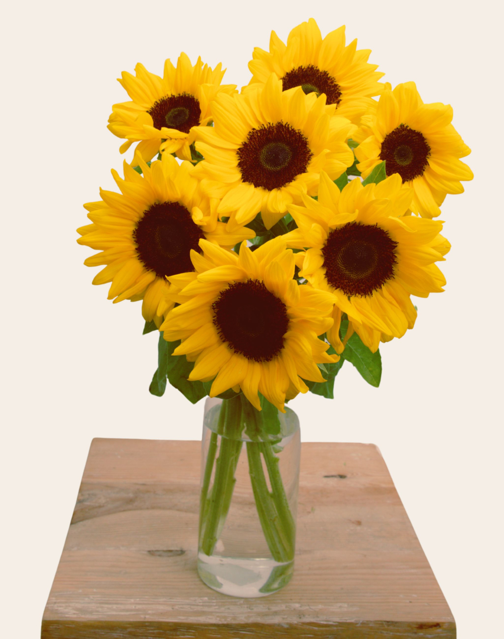 Pack Papa - Botte de Tournesols