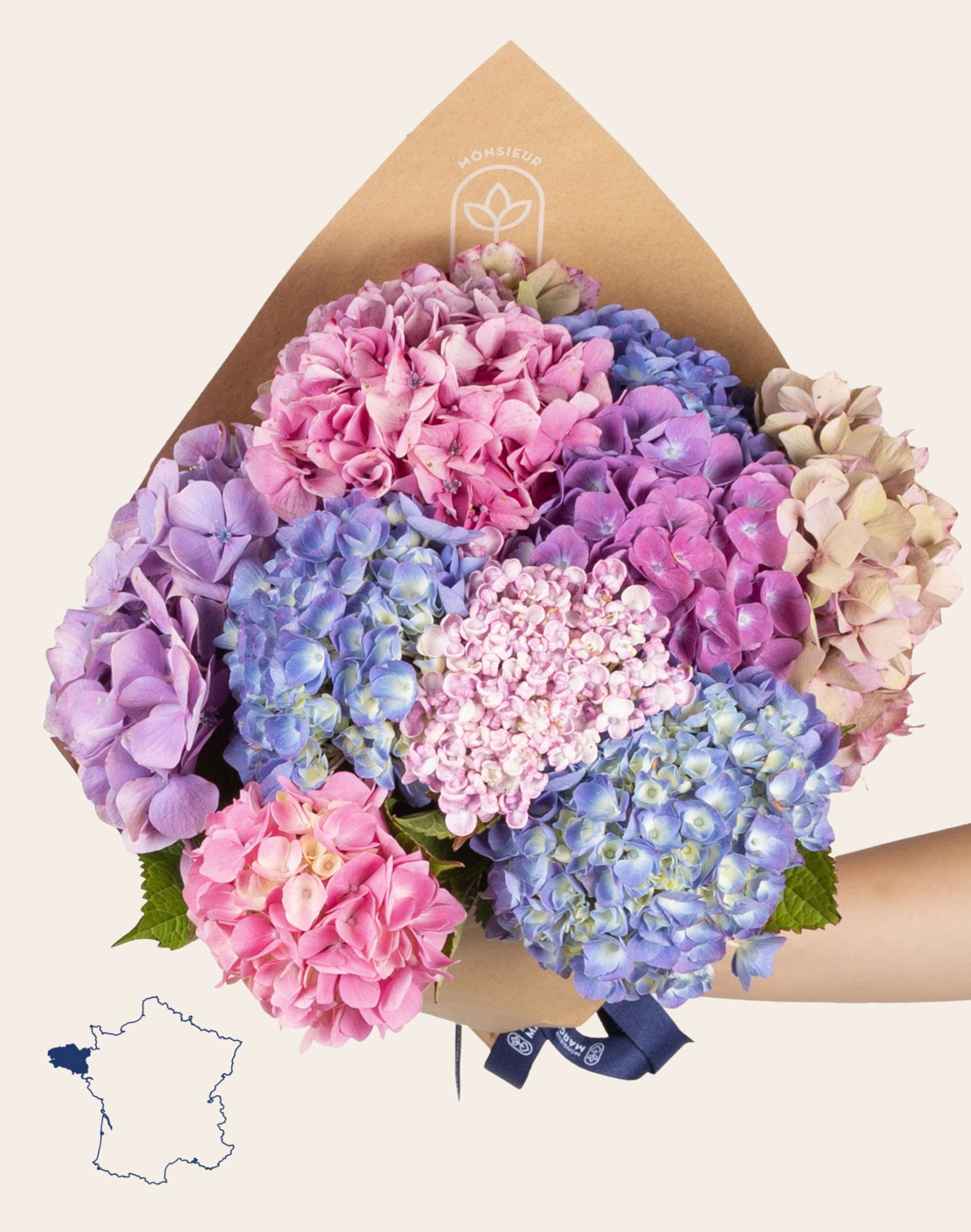 Bouquet camaïeu d'Hortensias