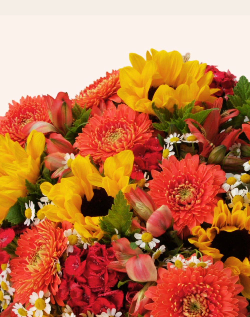 Duo - bouquet de saison coloré et livre