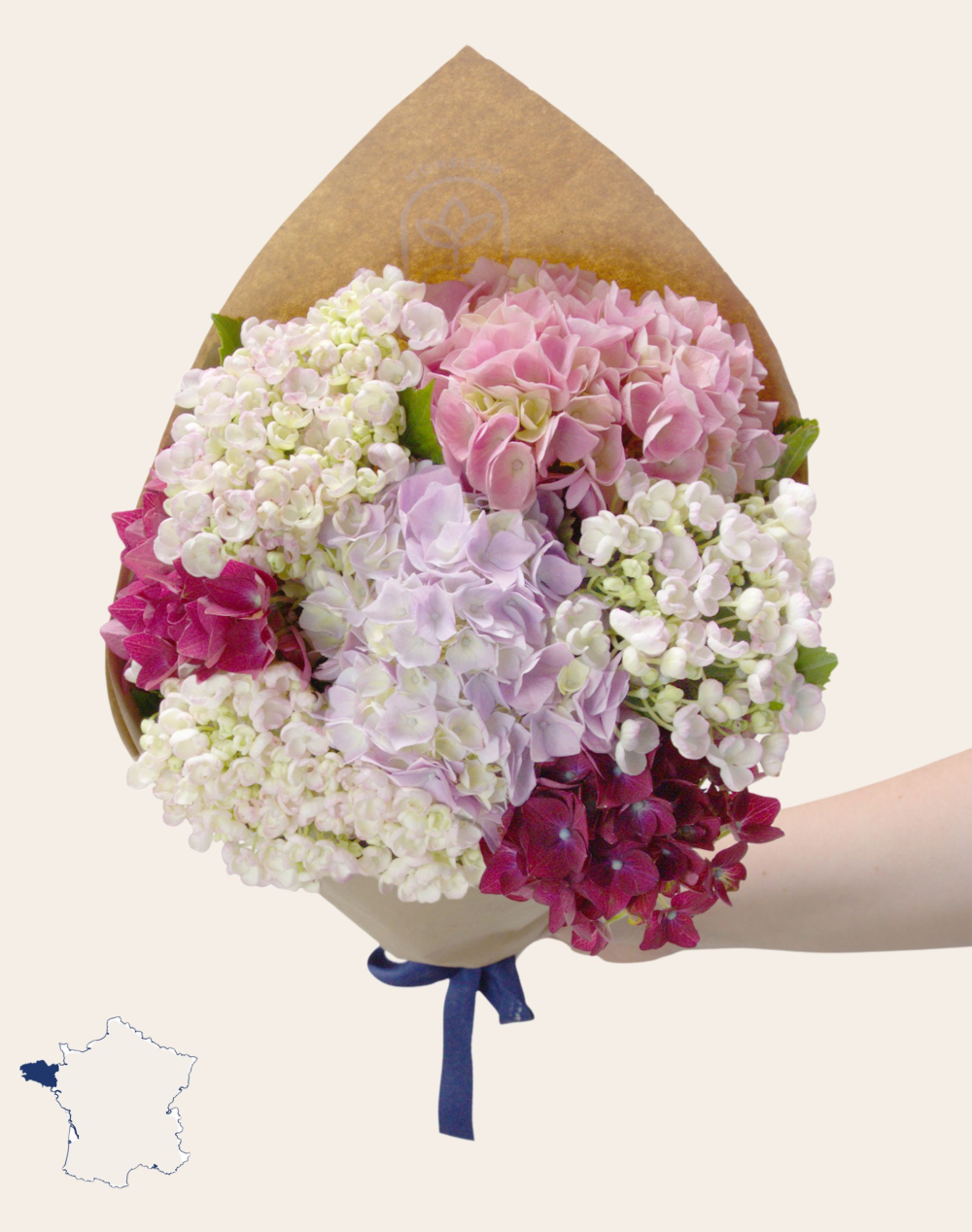 Bouquet camaïeu d'Hortensias