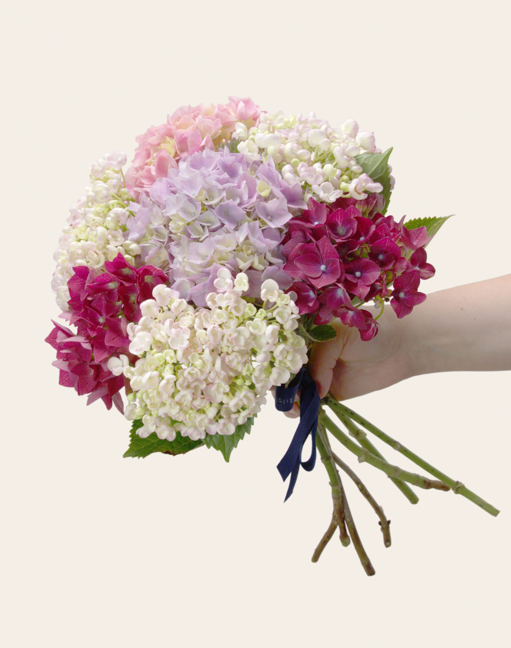 Bouquet camaïeu d'Hortensias