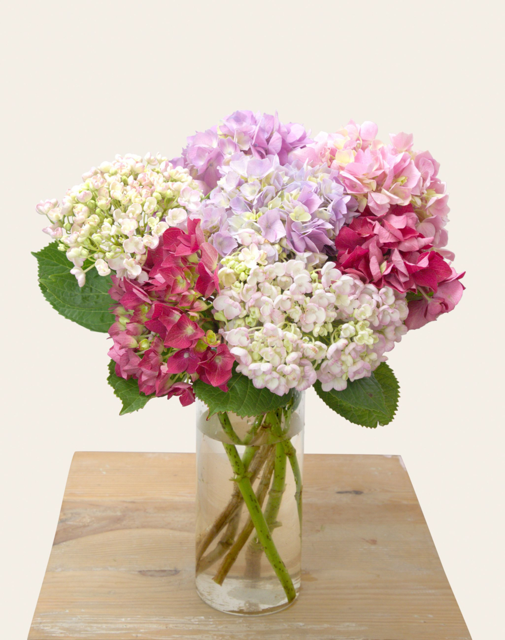 Bouquet camaïeu d'Hortensias