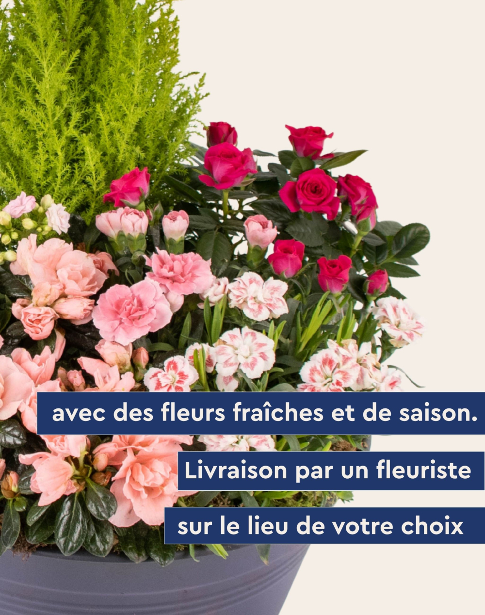 Coupe de plantes