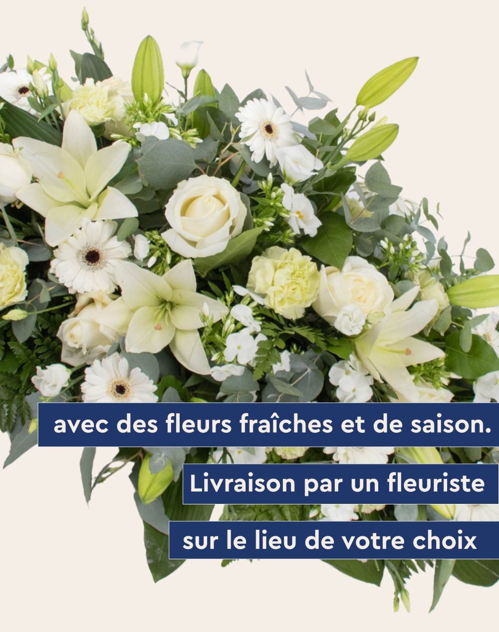 Dessus de cercueil & raquette