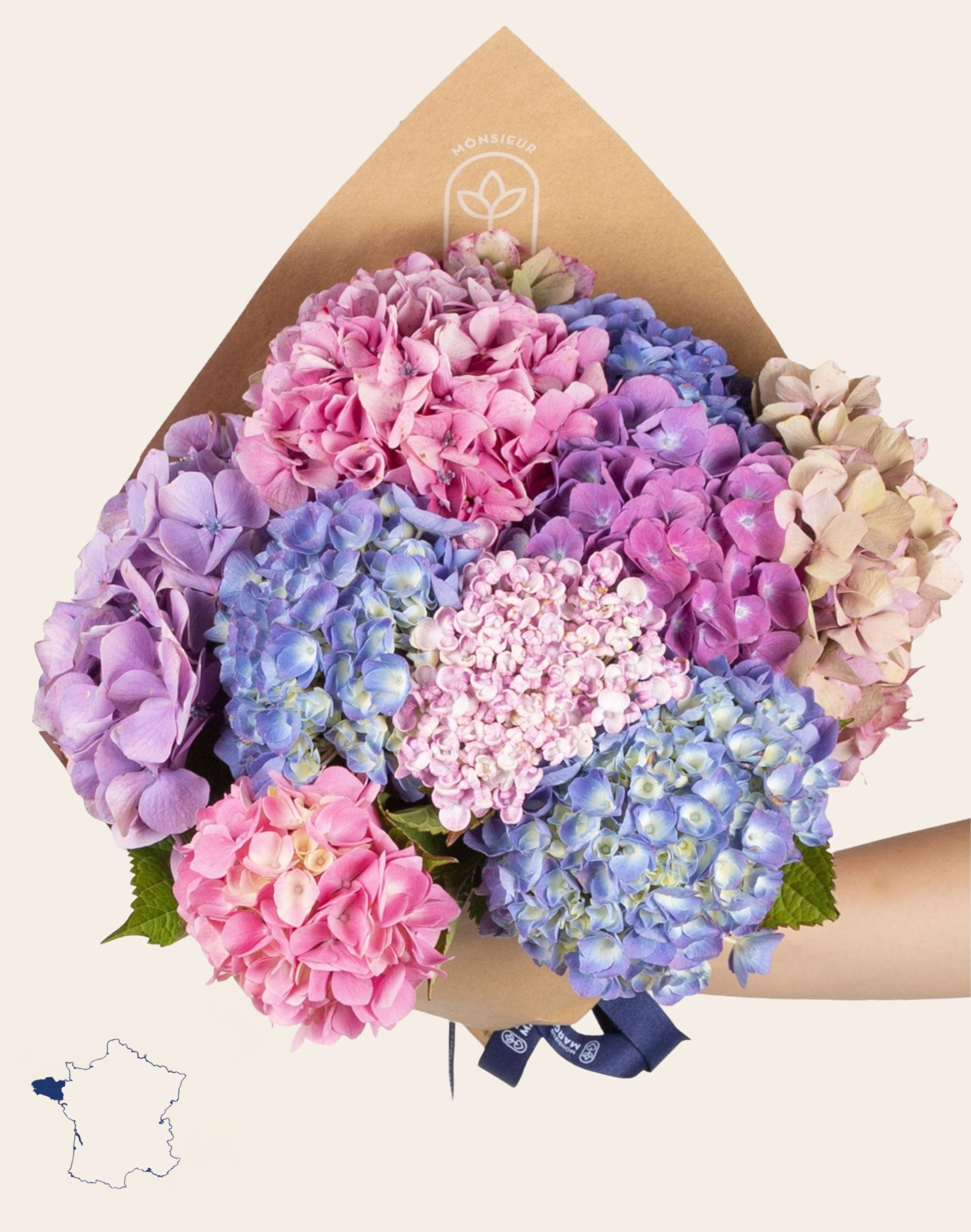 Bouquet camaïeu d'Hortensias
