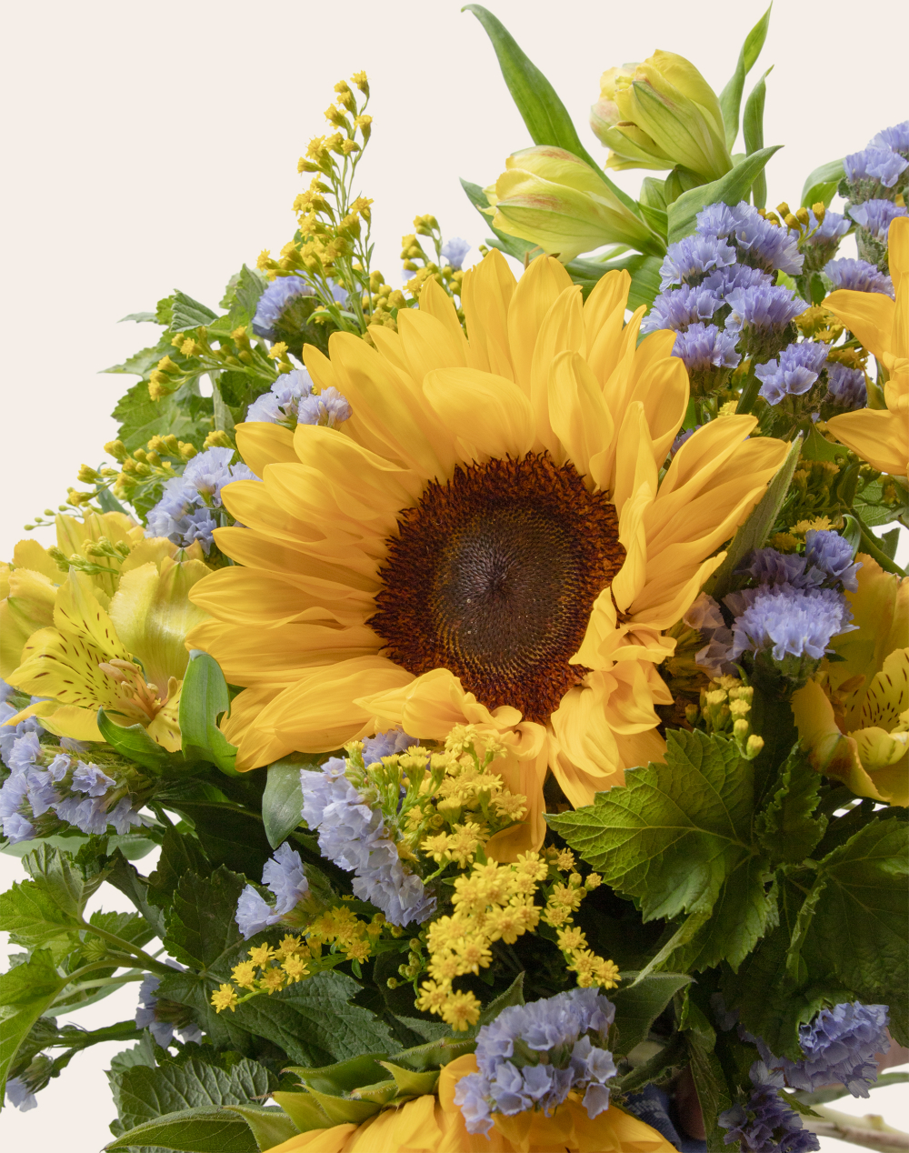 Duo - bouquet de saison coloré et livre