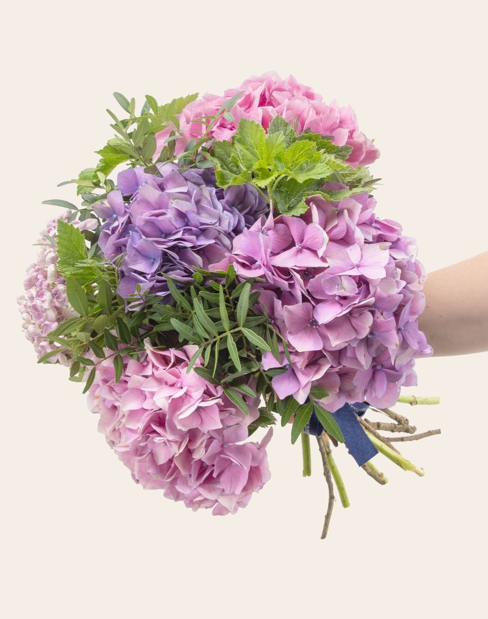 Bouquet d'Hortensias