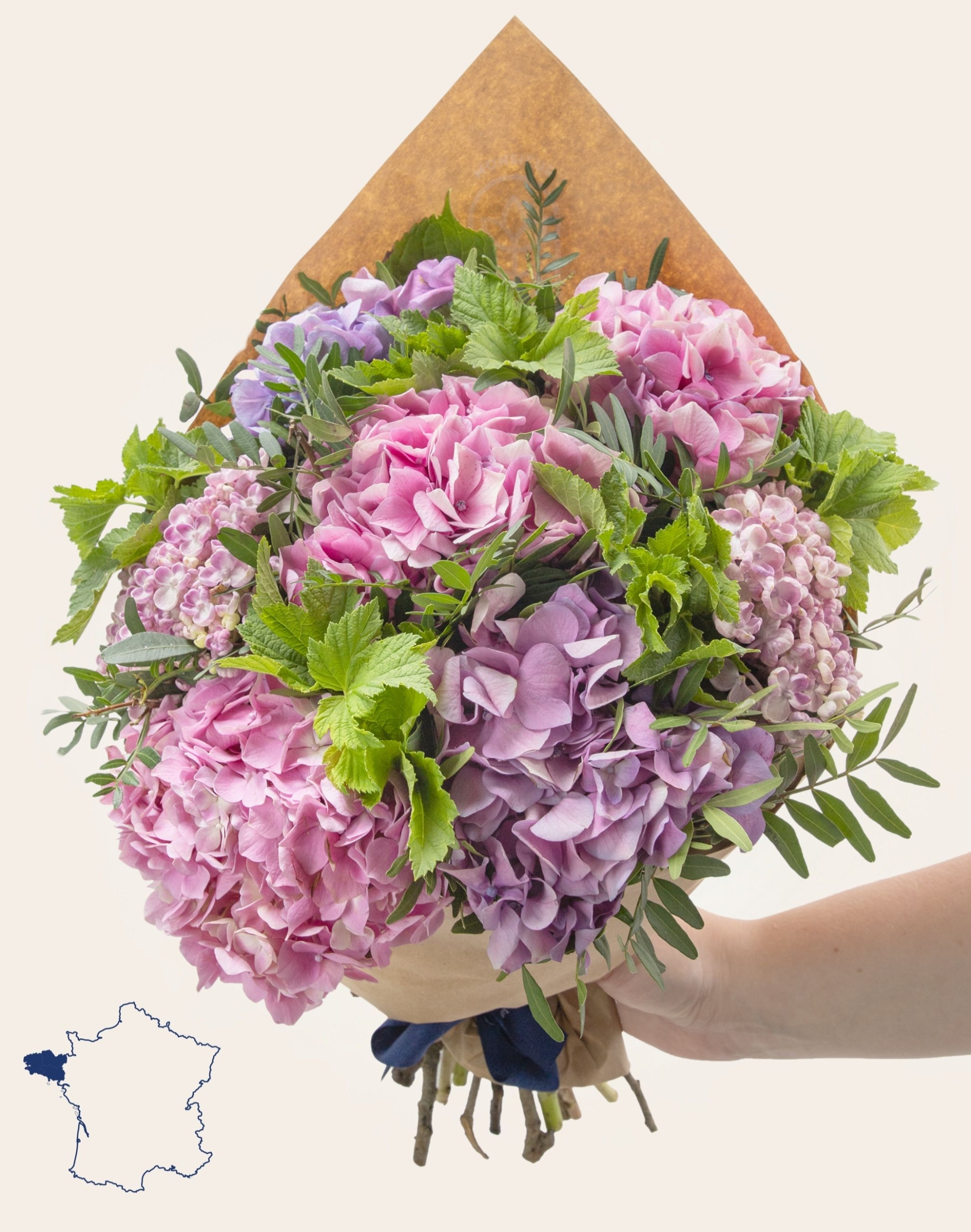 Bouquet d'Hortensias