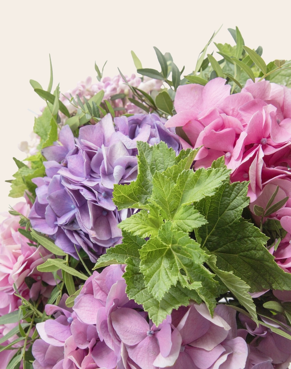 Bouquet d'Hortensias