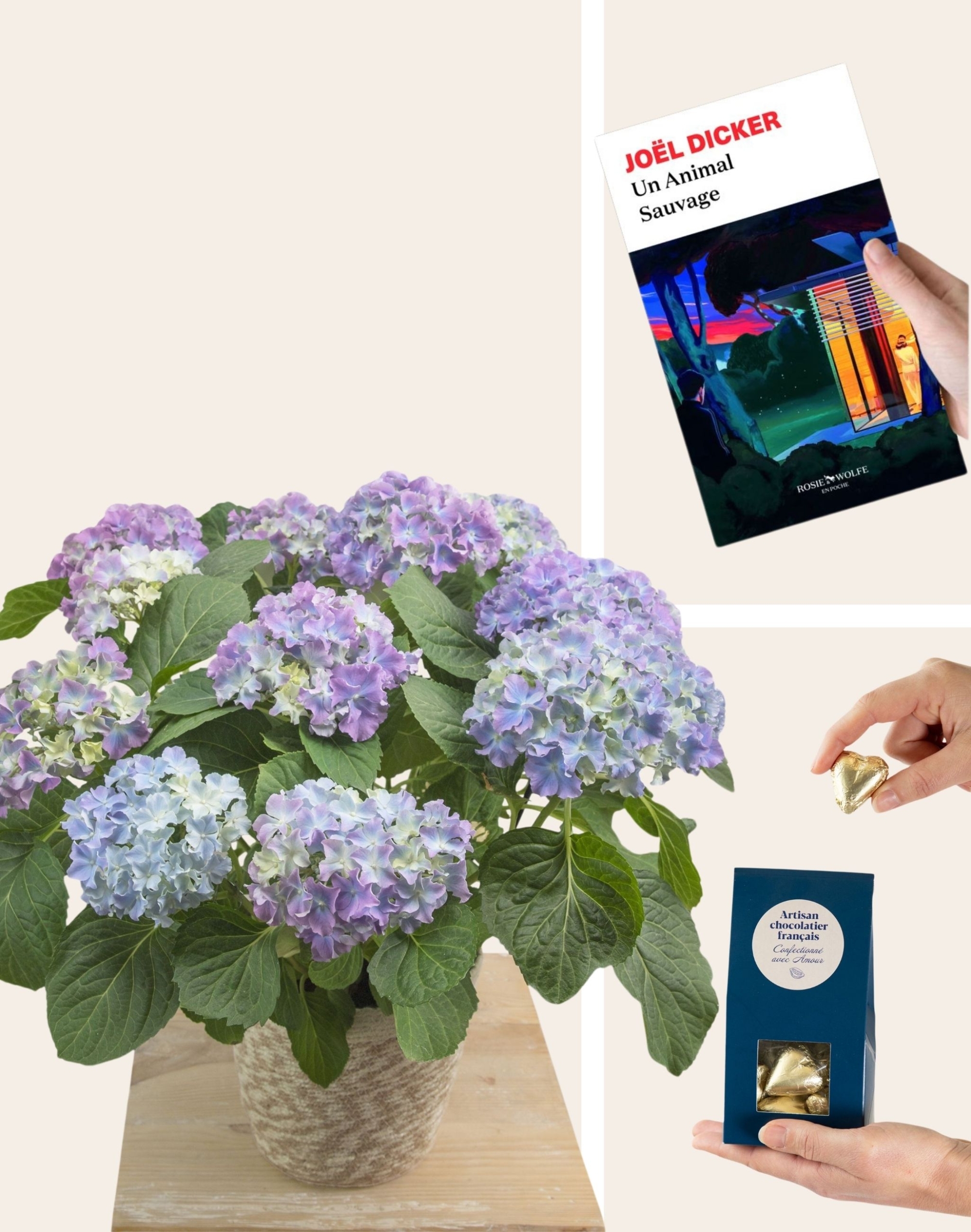 Pack Détente - Hortensia parme