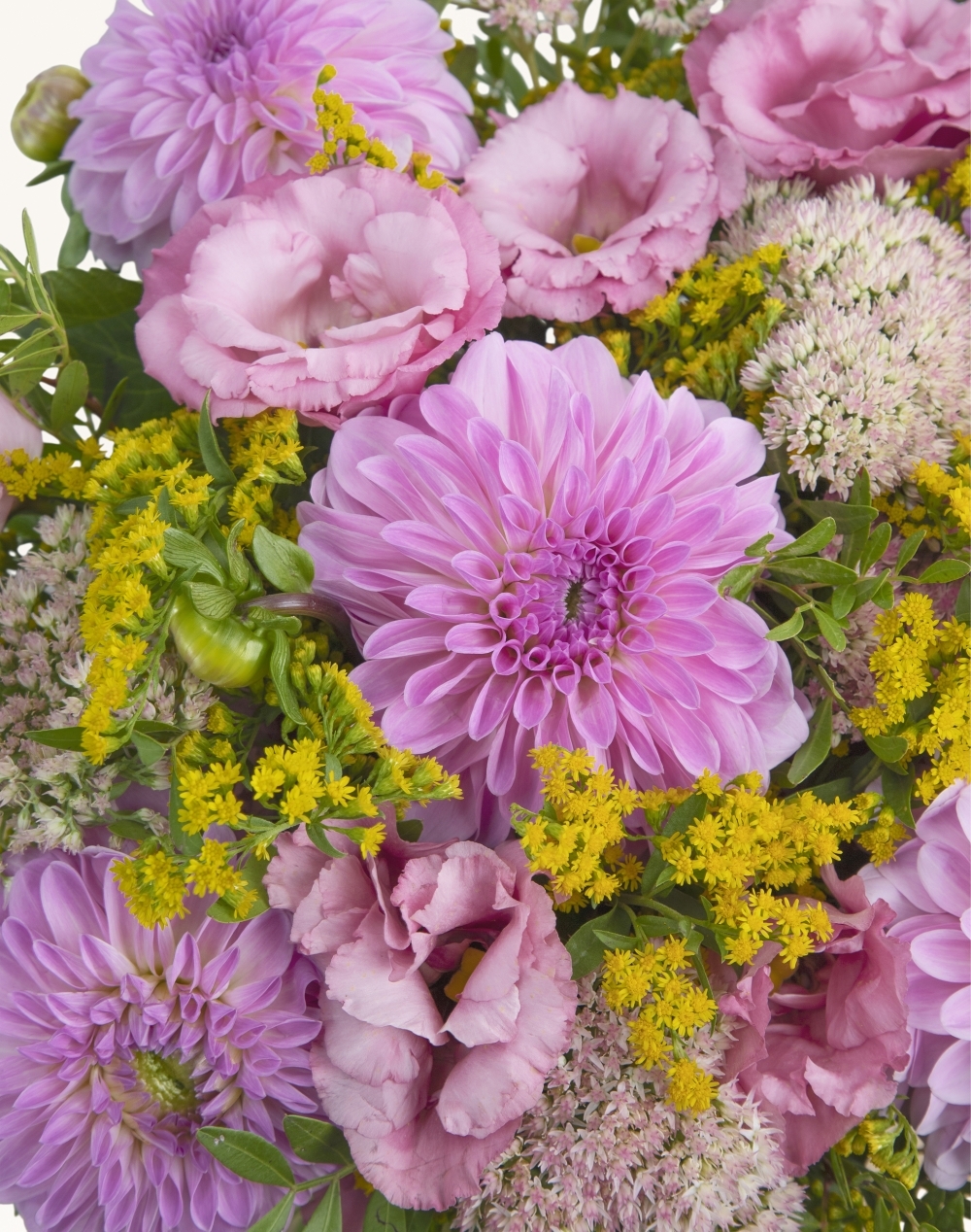 Pack Amour - Bouquet de saison Dahlia