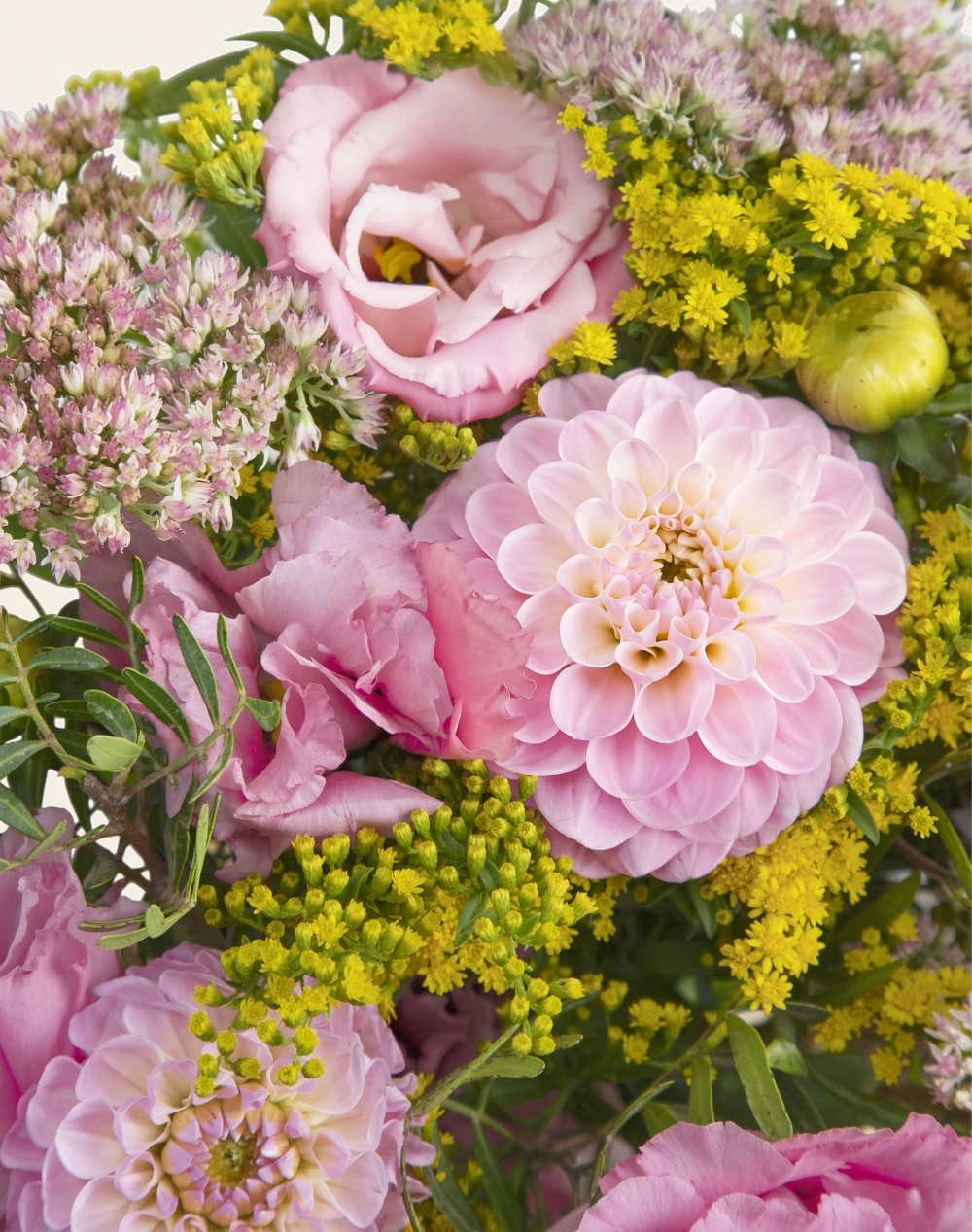 Pack Naissance - Bouquet de saison Dahlias