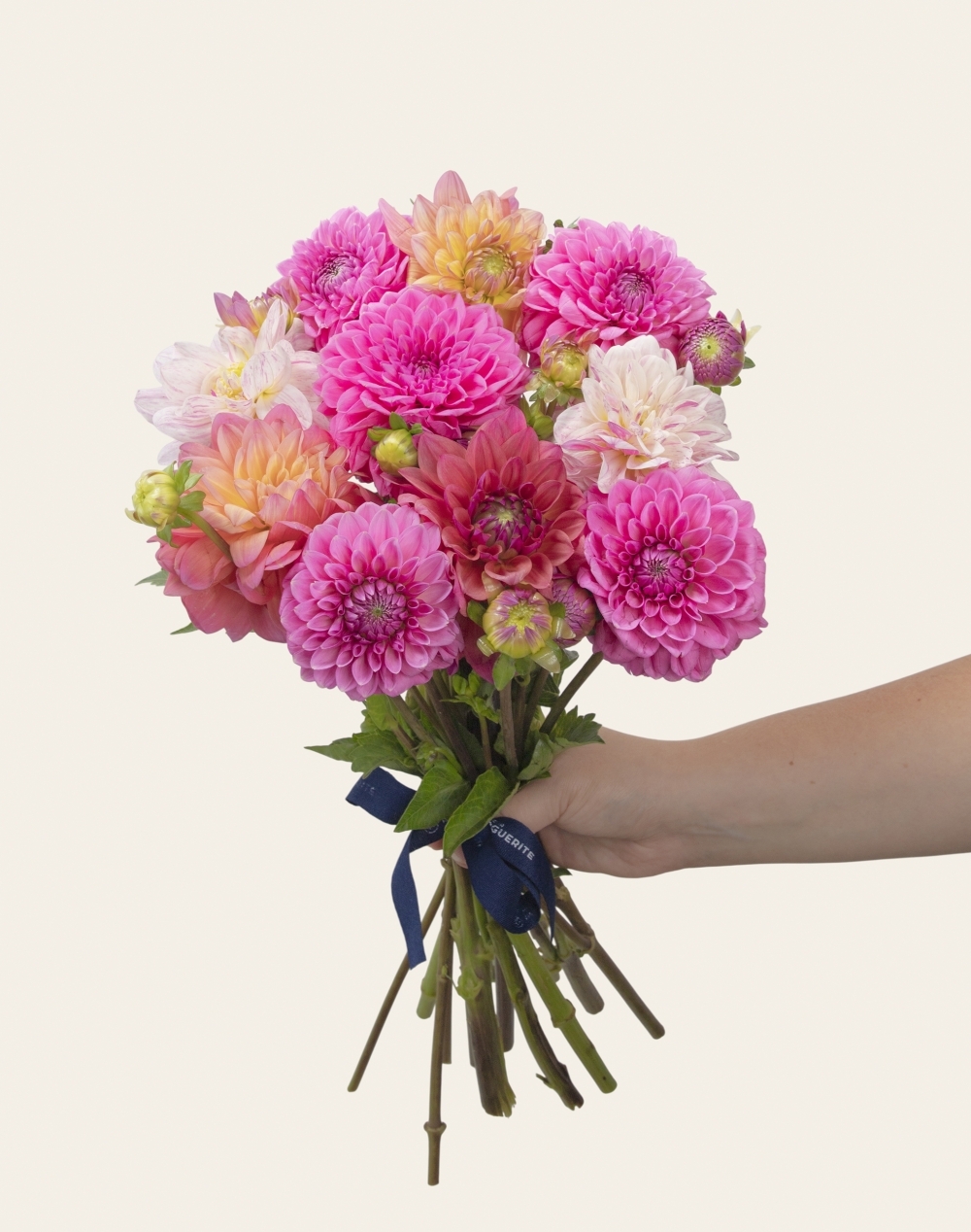 Botte surprise de Dahlias