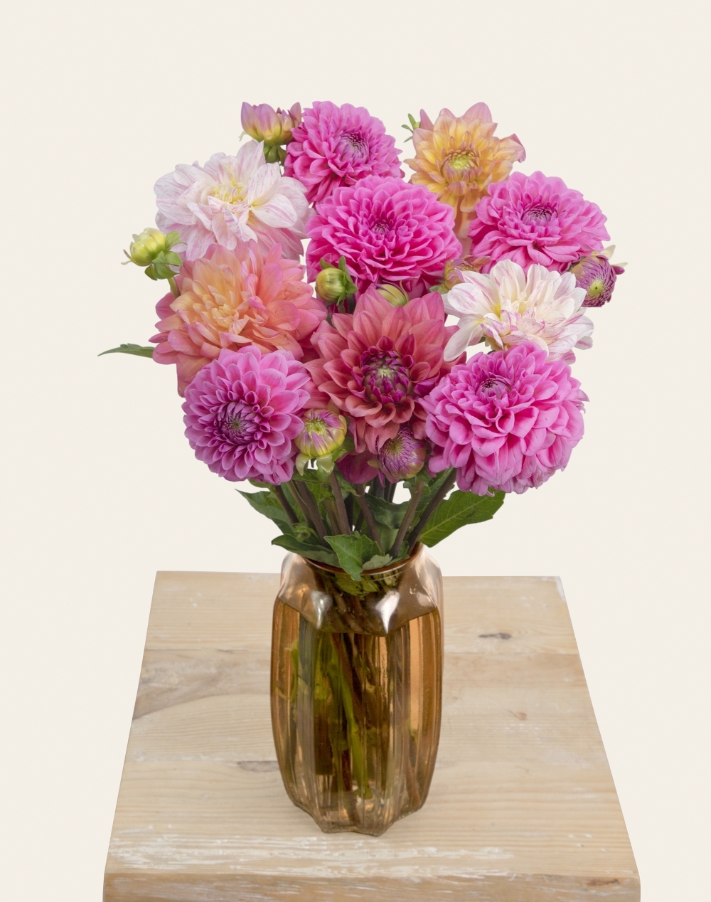 Botte surprise de Dahlias