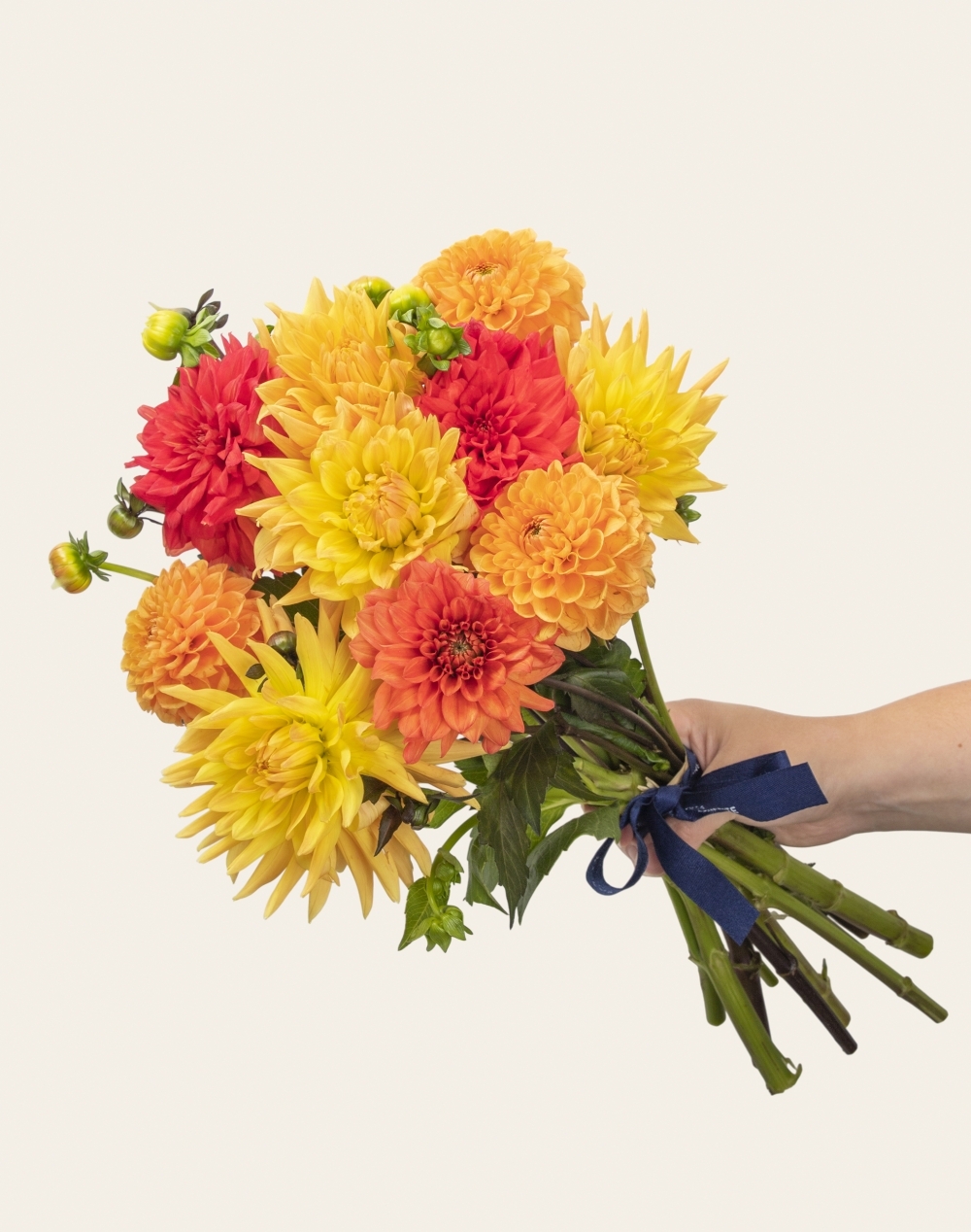 Botte de Dahlias - Couleurs Automnales