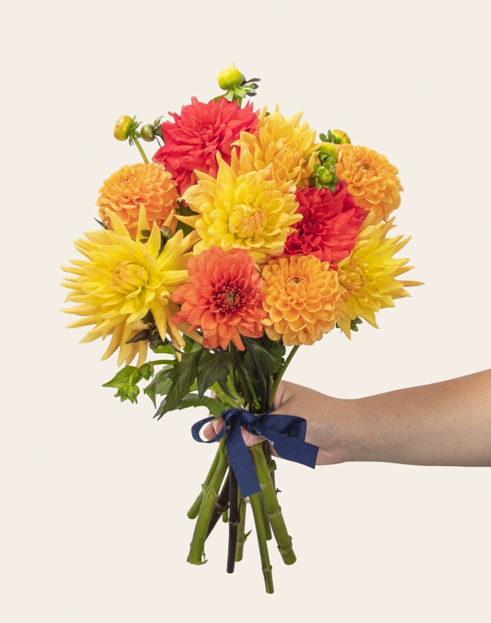 Botte de Dahlias - Couleurs Automnales
