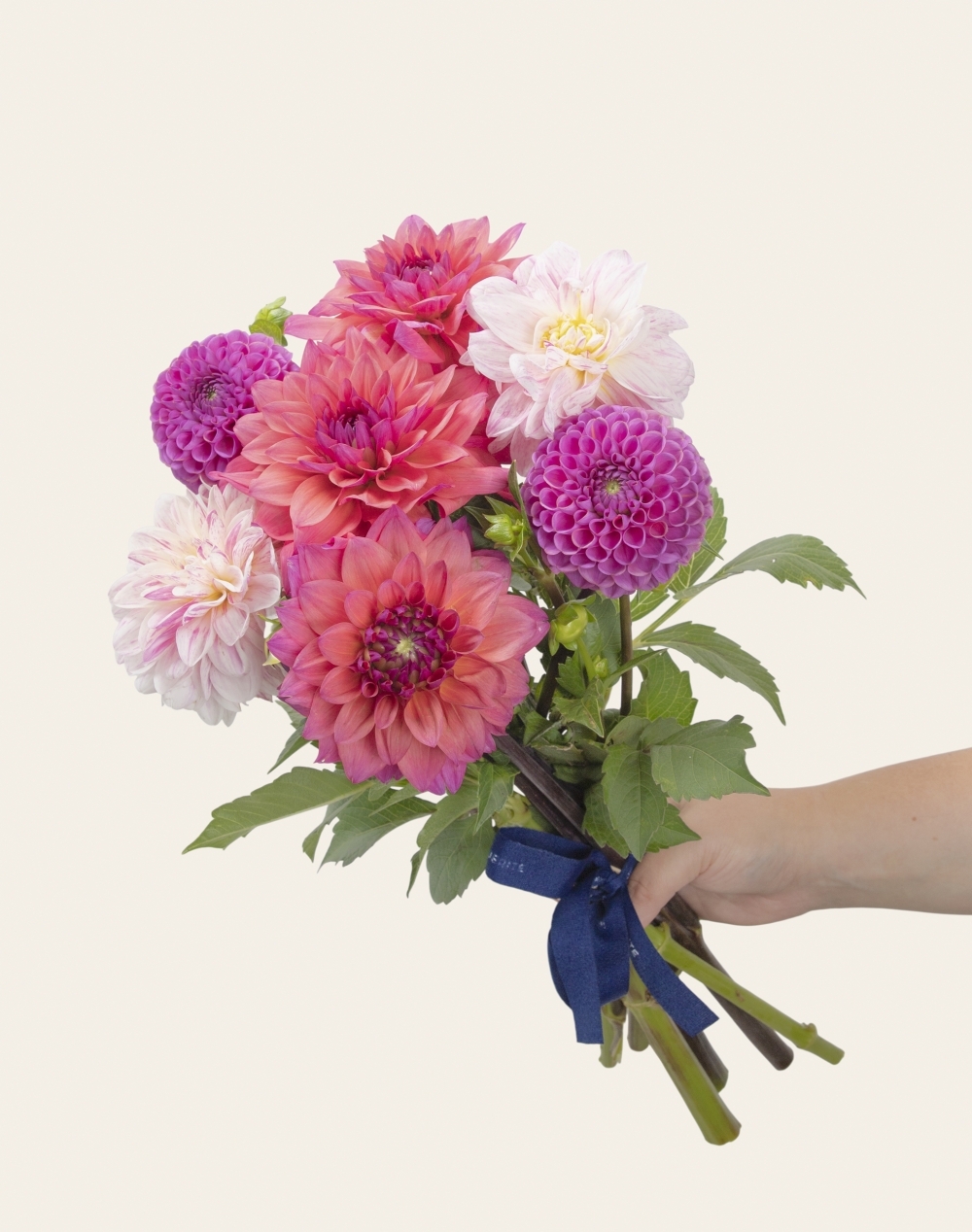 Pack Naissance - Botte surprise de Dahlias