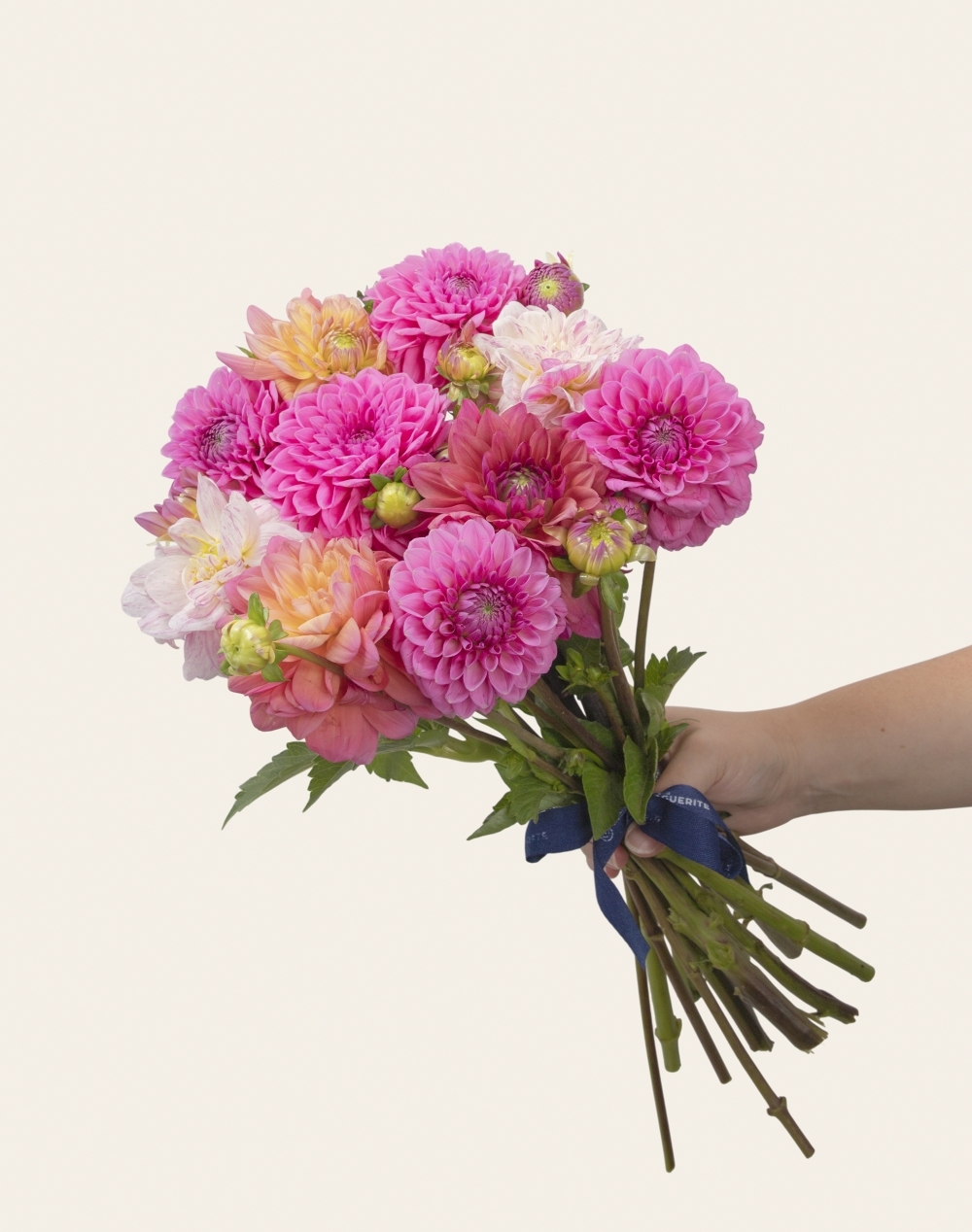 Duo - Botte de Dahlias surprise et sablés