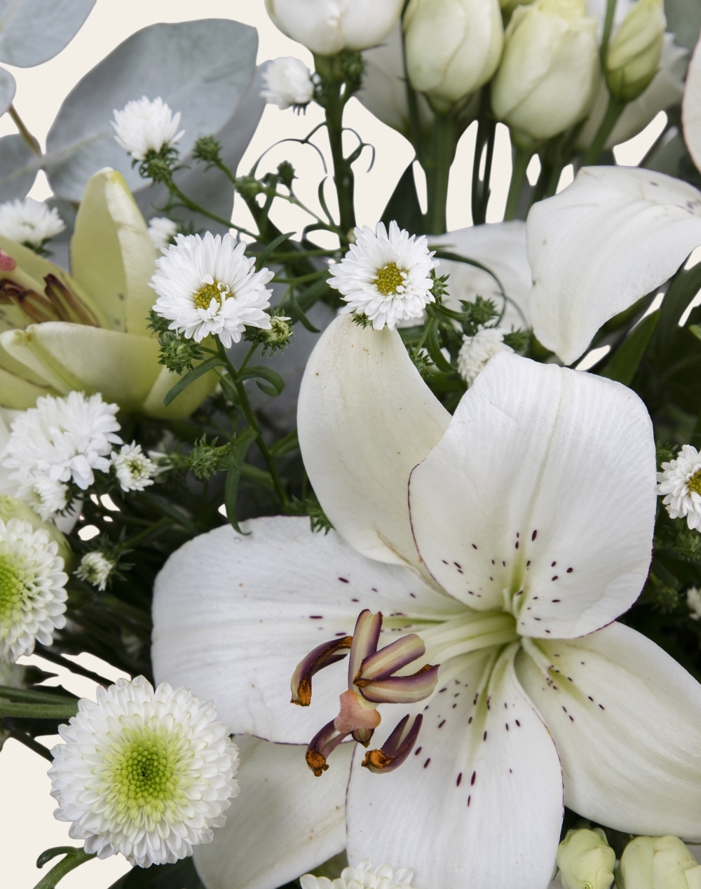 Pack Naissance - Bouquet de saison blanc