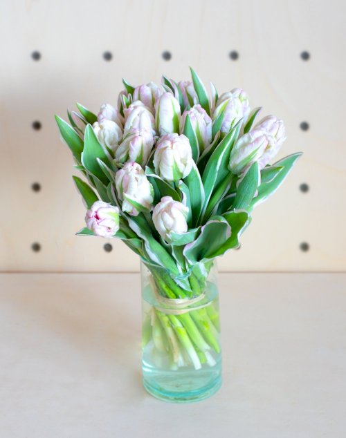 Botte de 20 Tulipes Perroquet roses