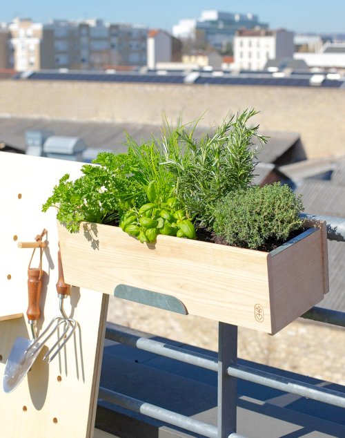 Jardinière en bois et ses 7 plantes aromatiques