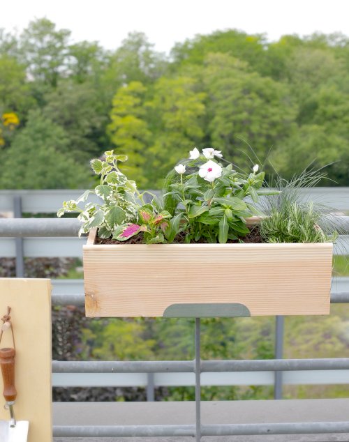 Jardinière et ses 6 plantes - Paysage de Pampa