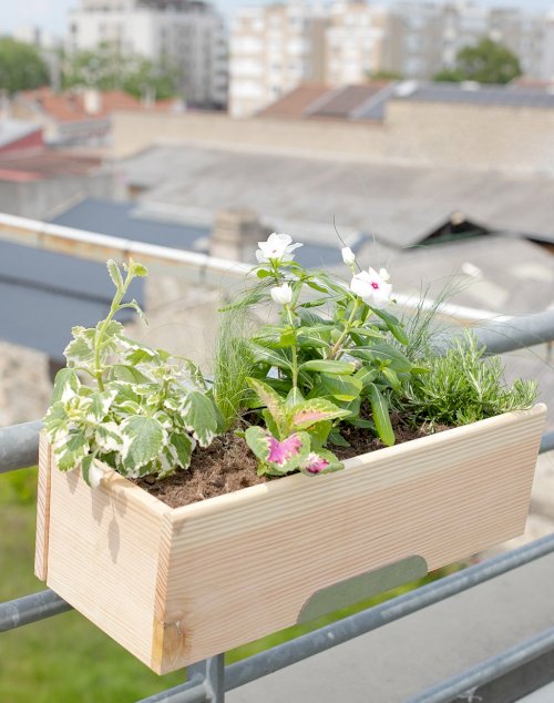 Jardinière et ses 6 plantes - Paysage de Pampa