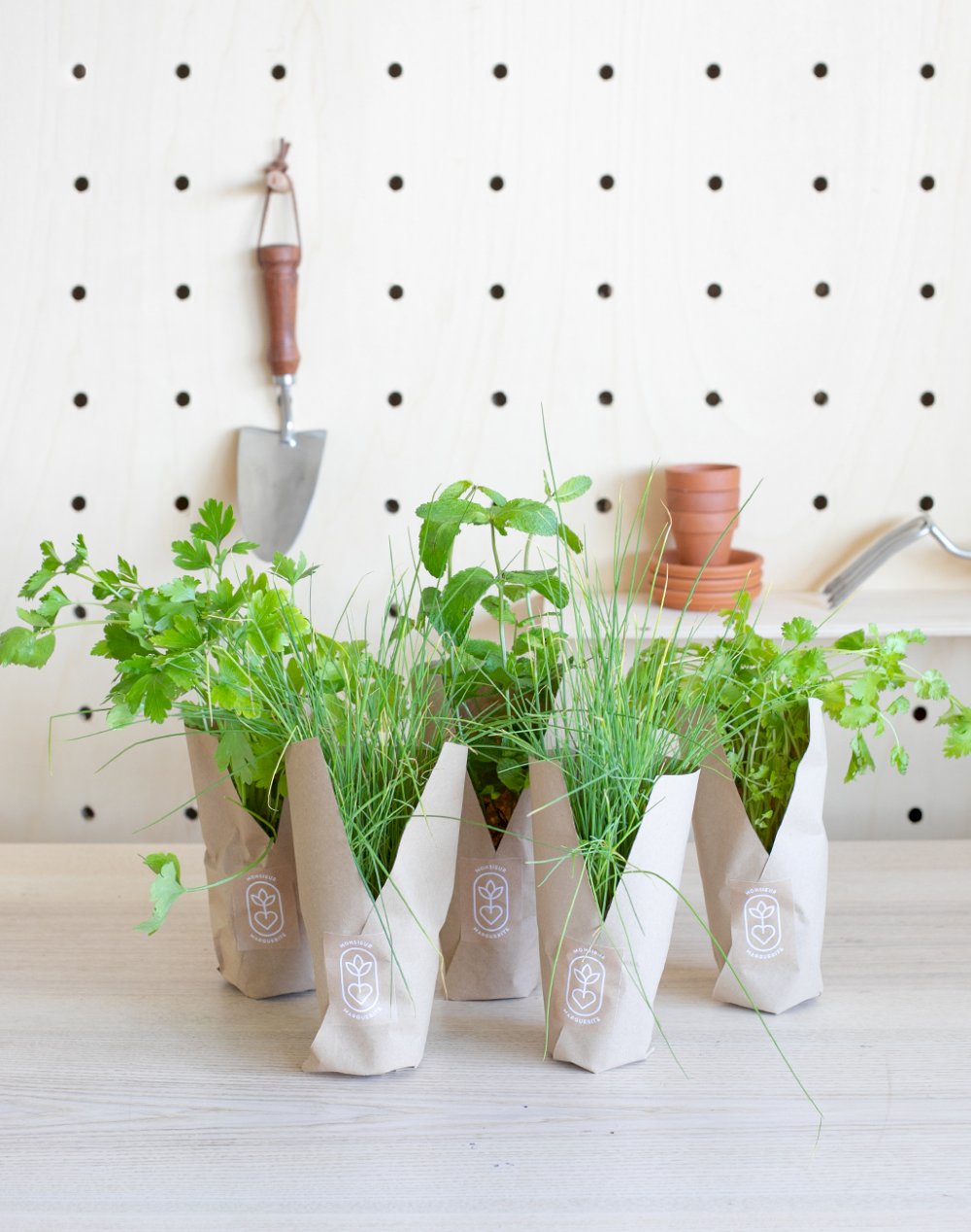 Assortiment de 5 plantes - Assaisonnement Salade