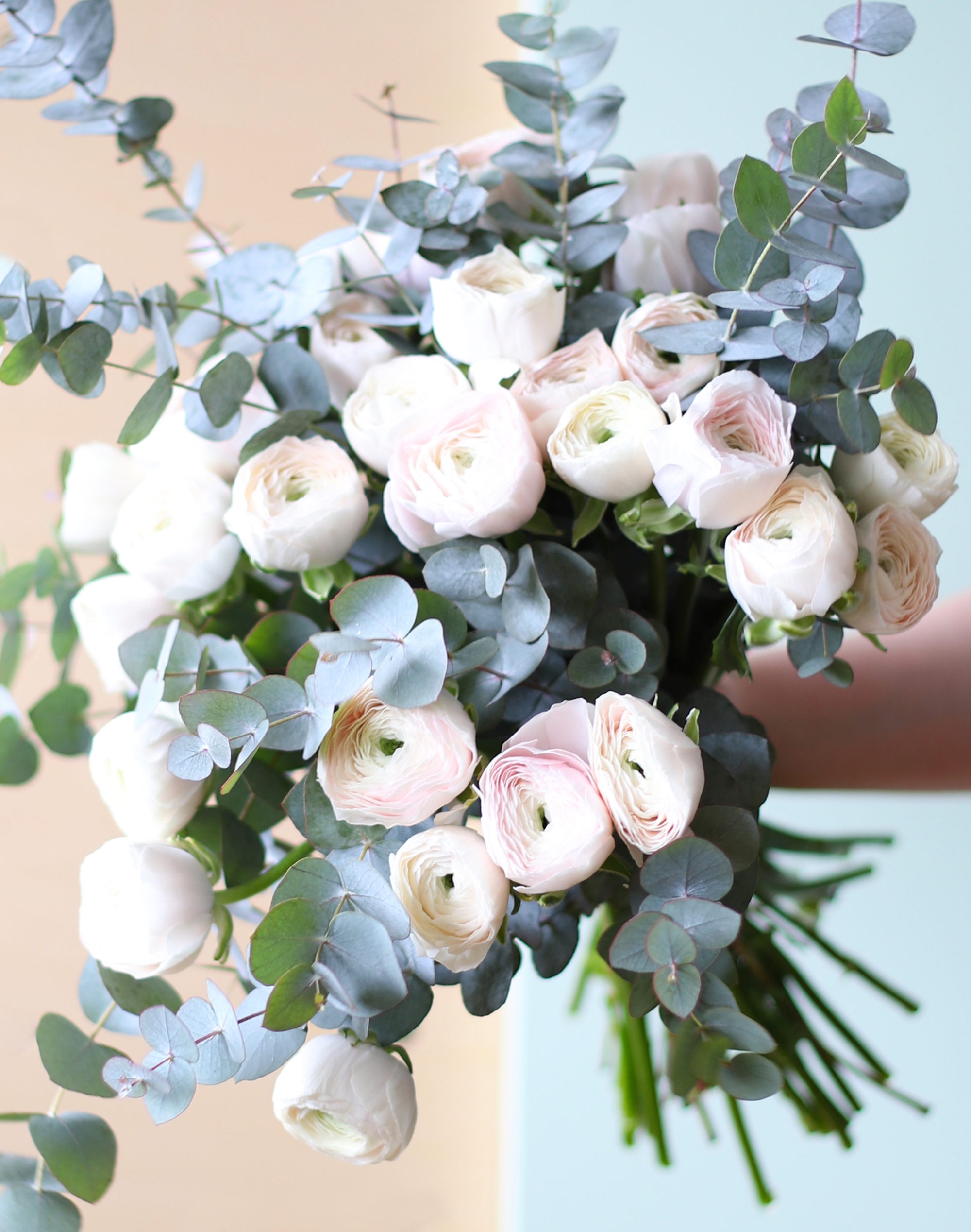 Bouquet de Renoncules roses