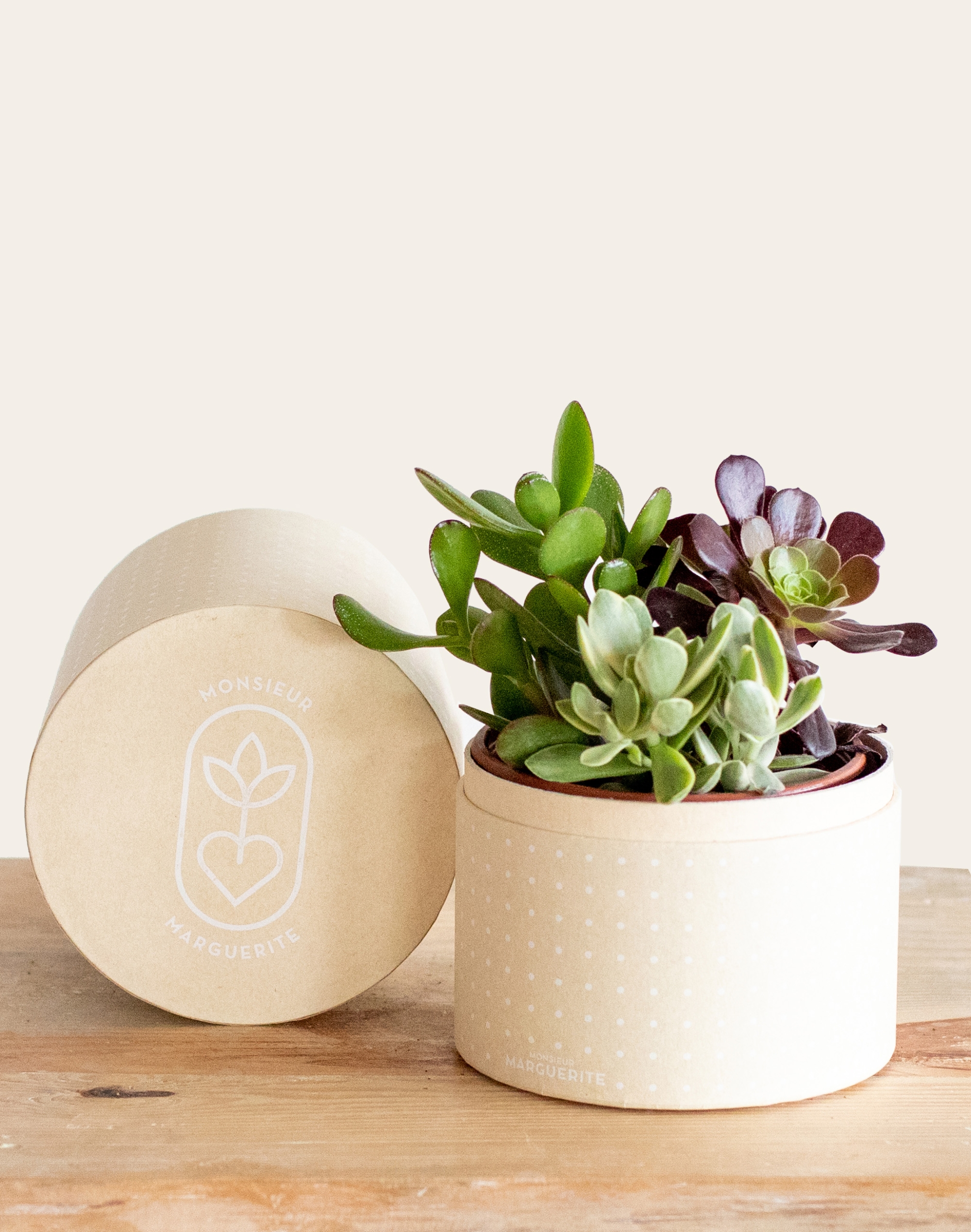 Pot De Fleurs En Céramique Forme Pieds Humains - Support Pour Plantes Grasses, Cactus - Décoration Maison/Bureau Blanc
